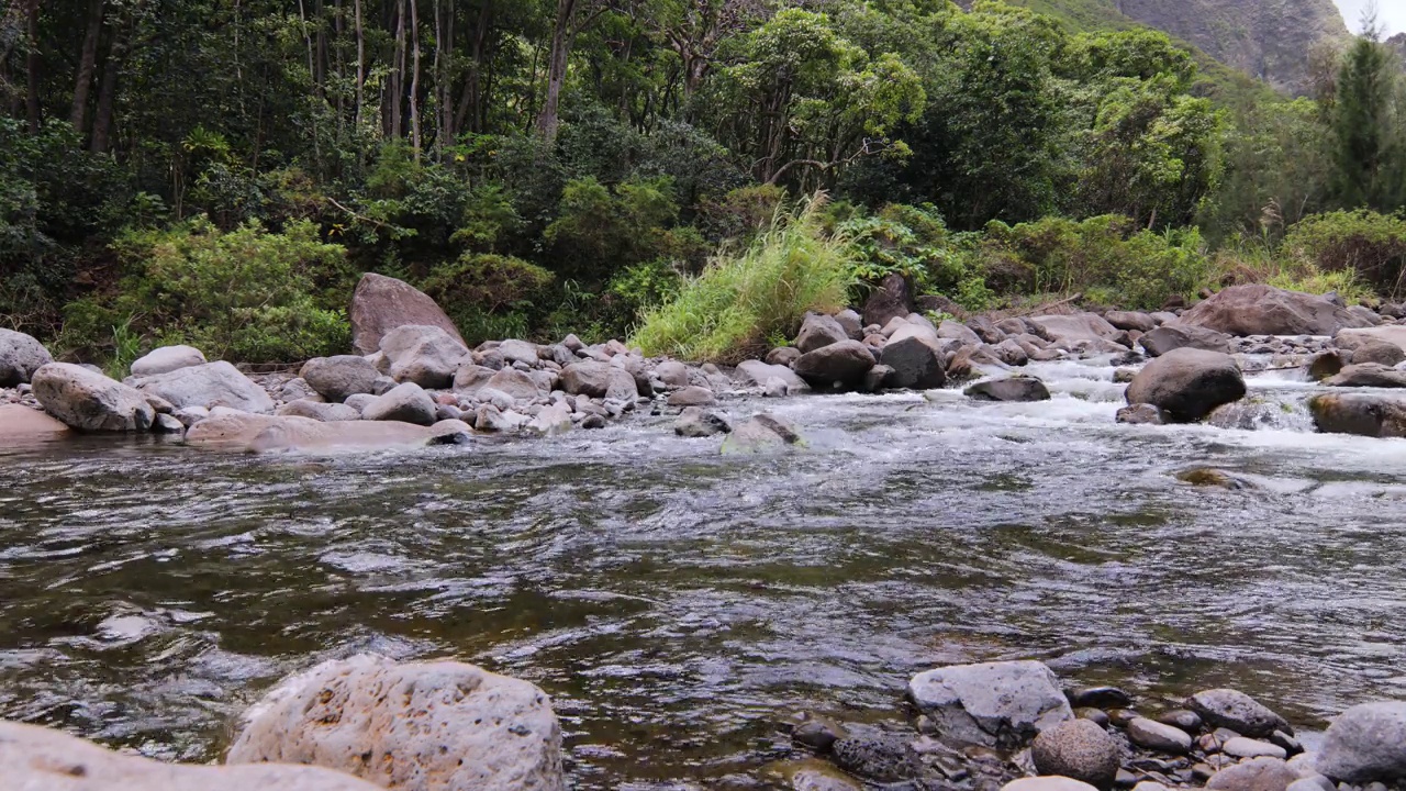 快速流动的水流流经毛伊岛的Iao山谷丛林雨林。静态拍摄与地面水平视图。视频素材