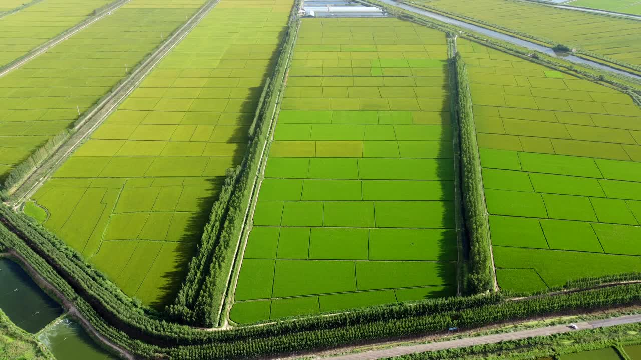 无人机在耕地上空飞行视频素材