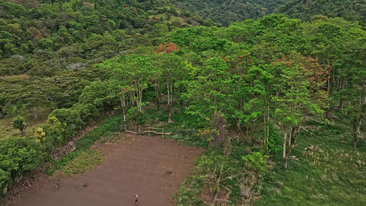 Los Naranjos巴拿马航空v6低空无人机飞越茂密茂密的绿色雨林树冠和各种热带植被和种植园-用Mavic 3 Cine拍摄- 2022年4月视频素材