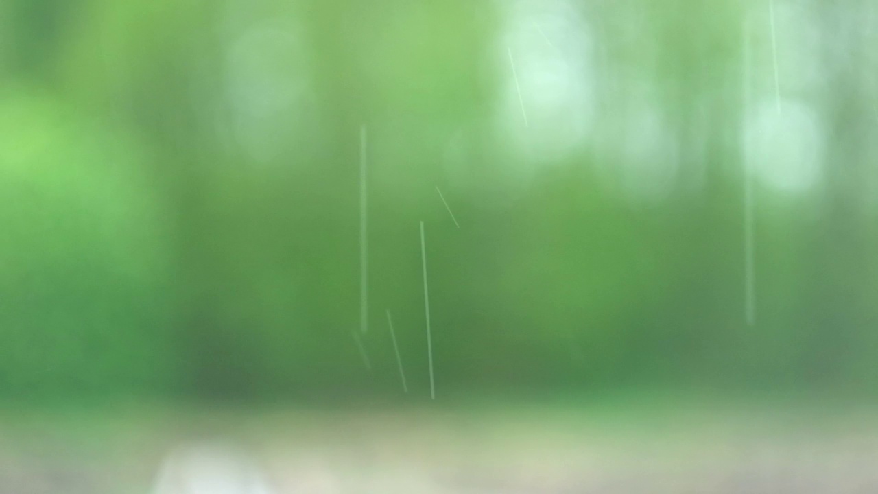 大雨。绿树上的夏雨，草地背景。特写镜头。森林里的雨天。多雨的天气。热带暴雨。自然背景。极端天气状况。冰雹和雨。阳光视频素材