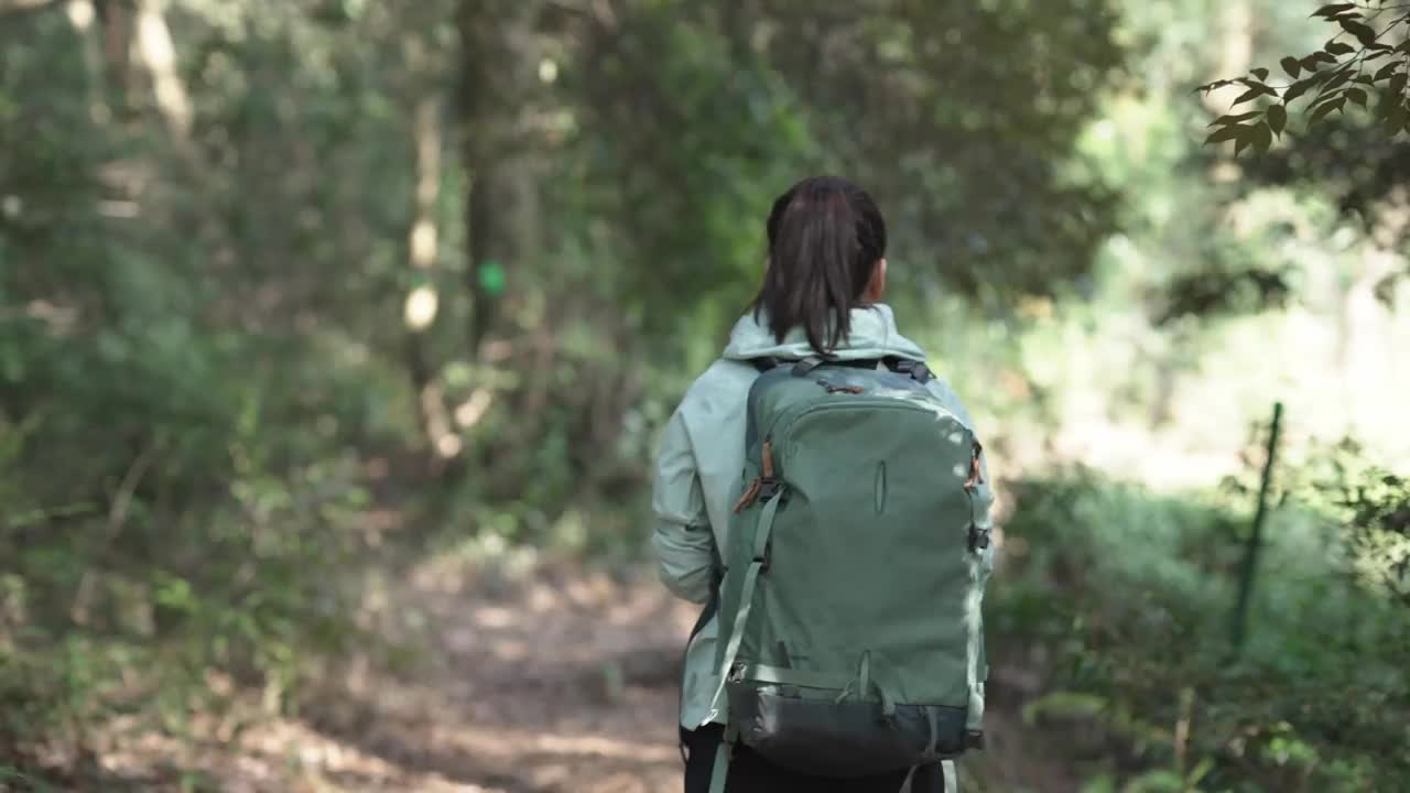 后视图女性徒步旅行者走在森林视频素材