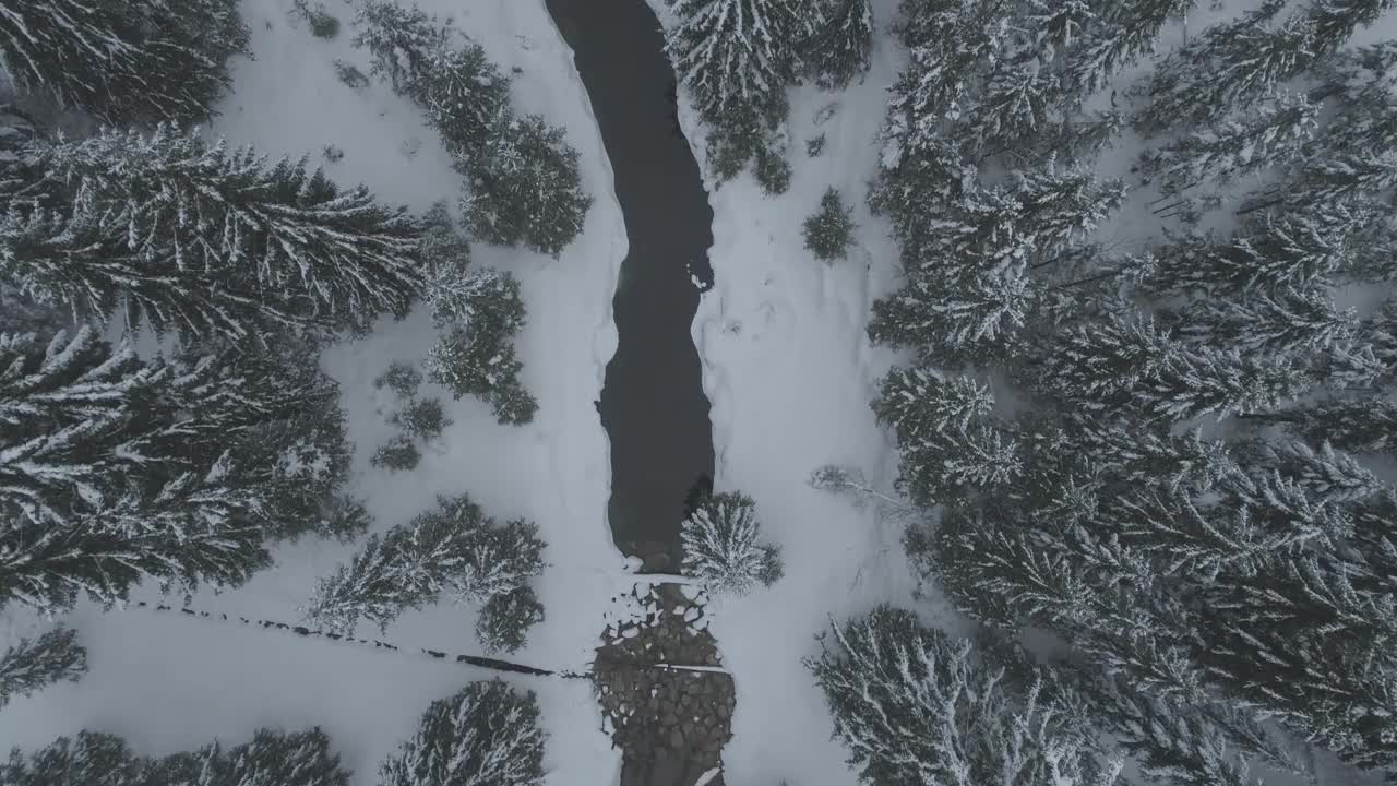 在白雪皑皑的森林中，鸟瞰河上的美景视频素材