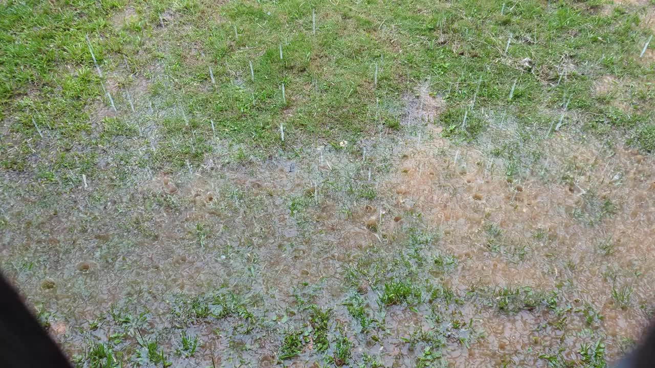 电影中的平底锅以草为背景倾盆大雨视频素材