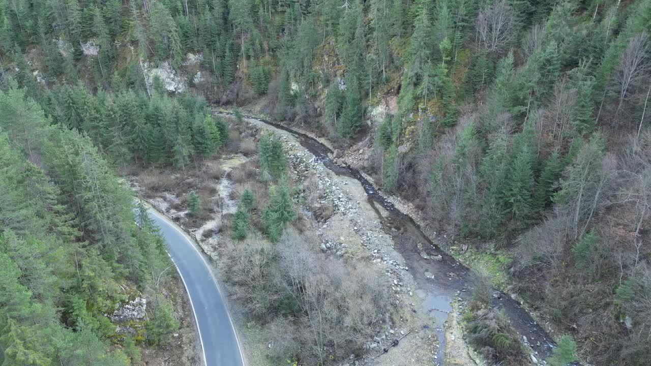 森林中央的道路和河流的俯视图视频素材