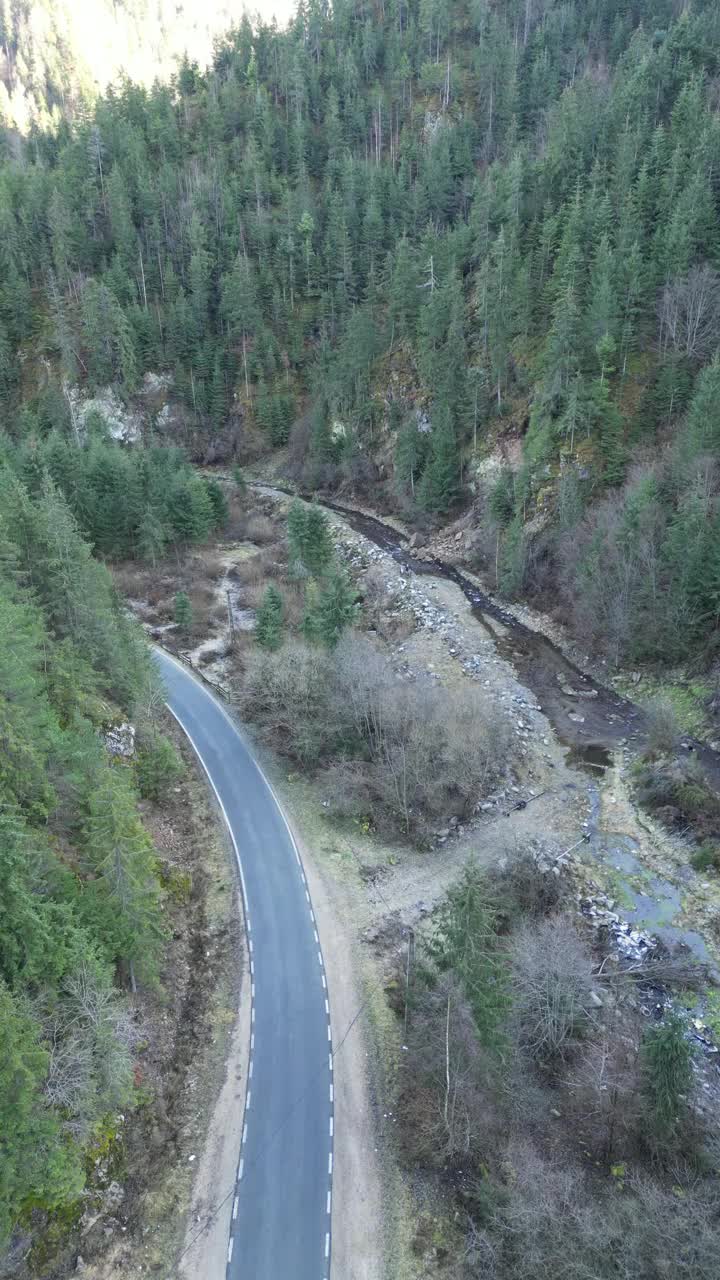 垂直无人机视图的道路两旁的森林视频素材