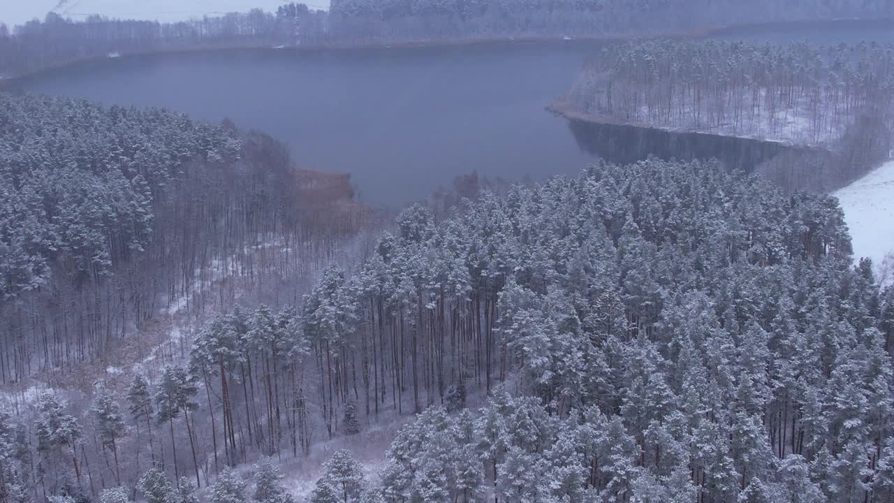 鸟瞰白雪覆盖的树梢，森林中平静的湖面，冬日。在美丽宁静的冬季湖上，飞越令人惊叹的雪松林。飞越刚被雪覆盖的冬季景观。视频素材
