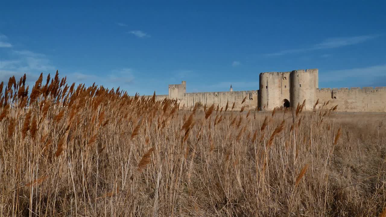 Aigues Mortes, Gard，欧西坦语，法国视频素材