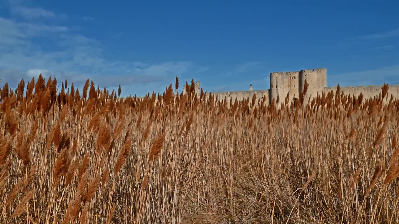 Aigues Mortes, Gard，欧西坦语，法国视频素材