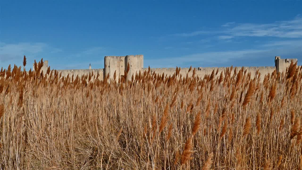 Aigues Mortes, Gard，欧西坦语，法国视频素材