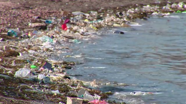 海边垃圾泛滥视频下载