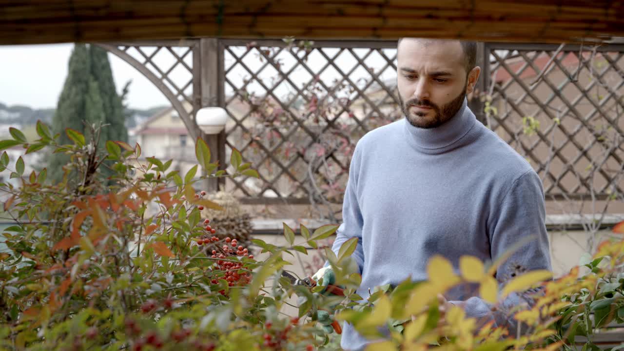 年轻的男人在打理他的花园。他打电话给妈妈，给她看花。视频下载