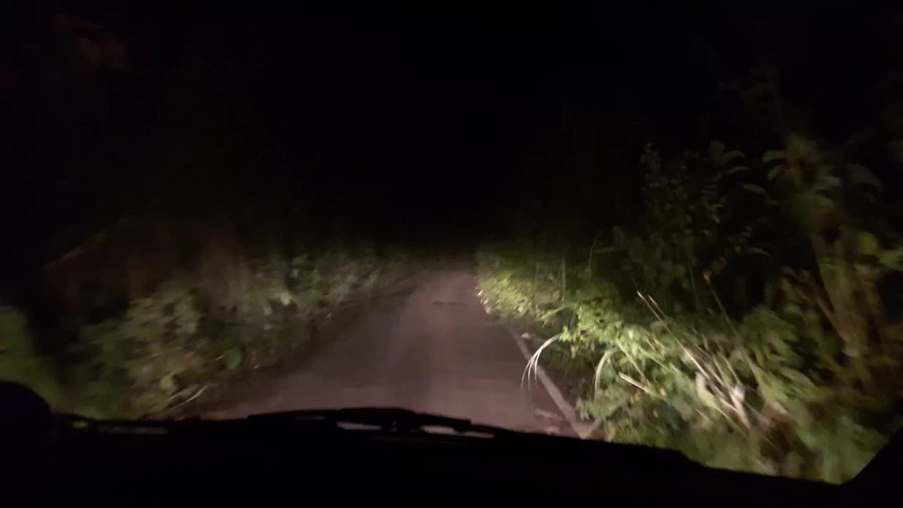 晚上在森林地区的黑暗道路上开车。视频素材