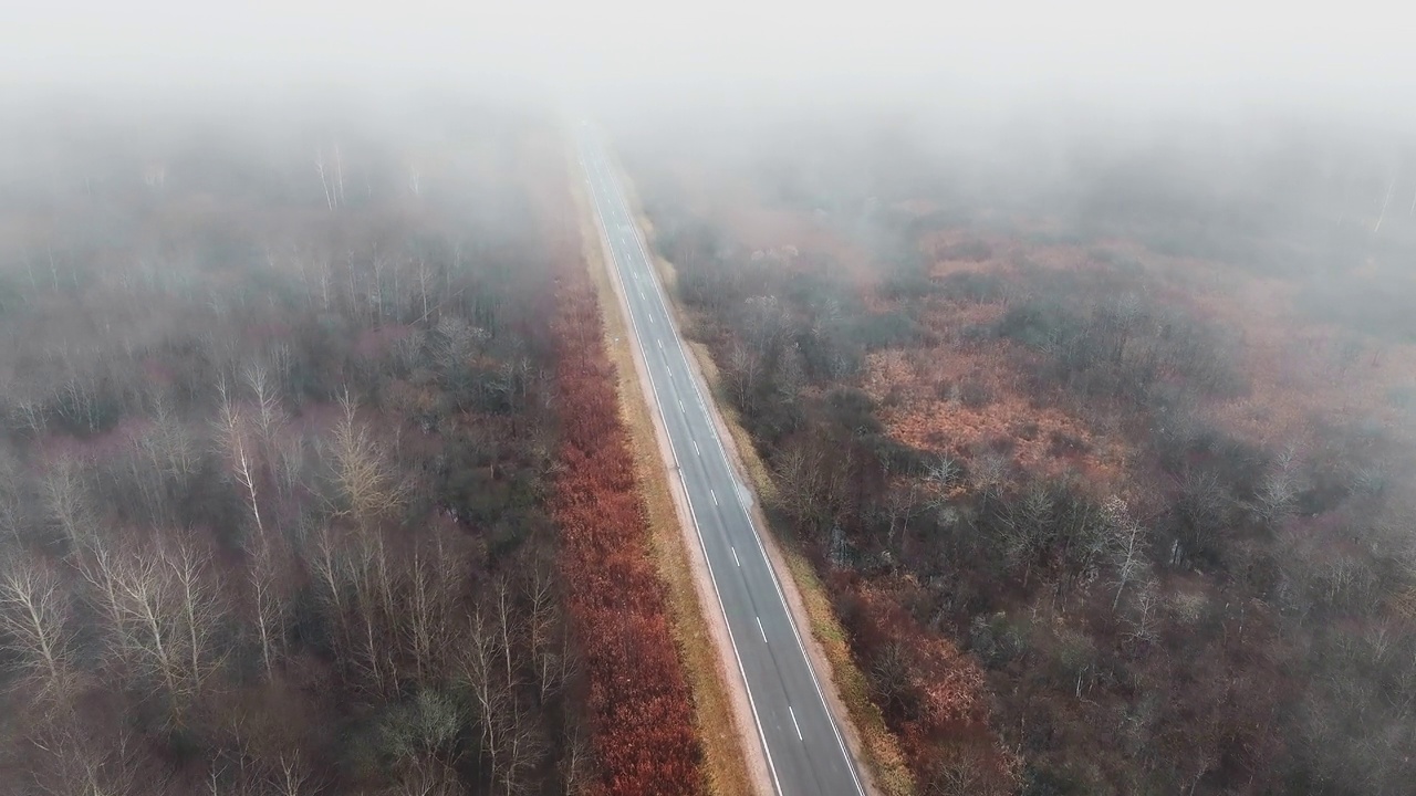 空旷的公路在神秘的迷雾中穿过森林。秋日清晨雾蒙蒙的马路。视频素材