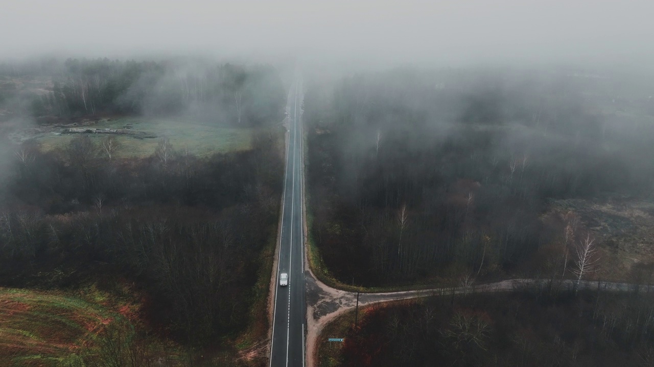 空旷的公路在神秘的迷雾中穿过森林。秋日清晨雾蒙蒙的马路。视频素材