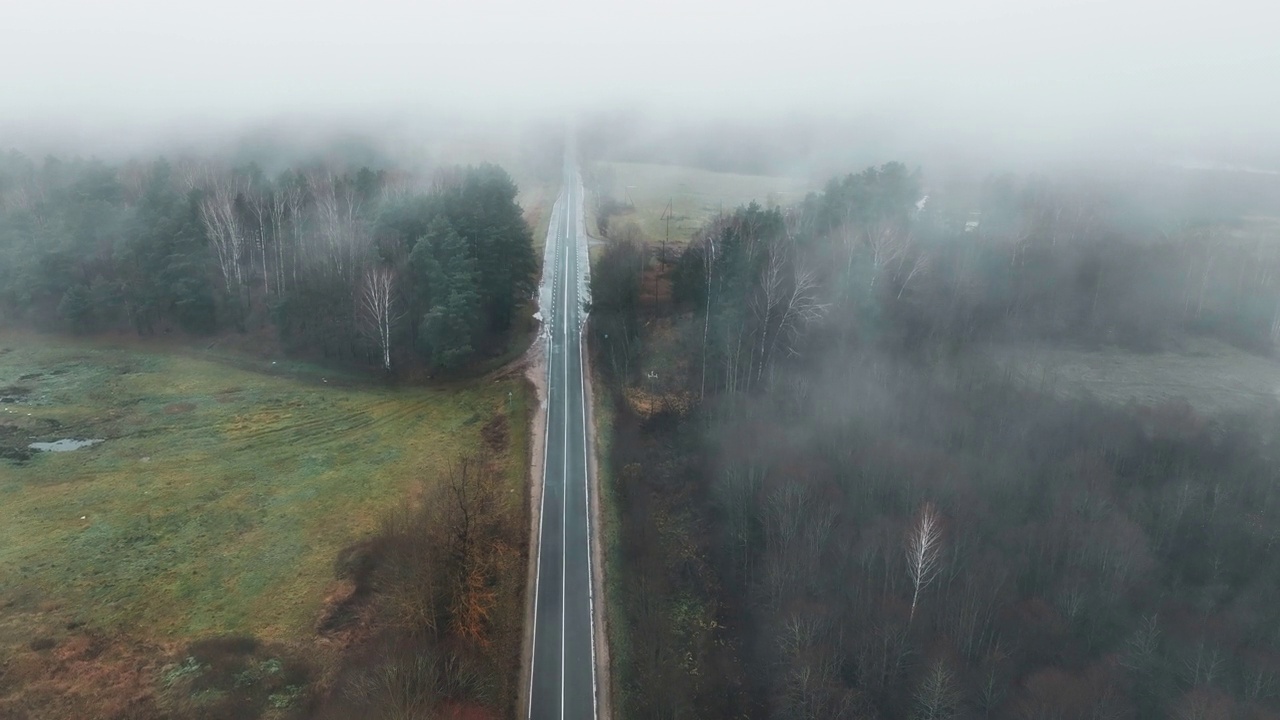 空旷的公路在神秘的迷雾中穿过森林。秋日清晨雾蒙蒙的马路。视频素材