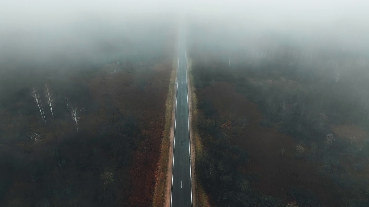 空旷的公路在神秘的迷雾中穿过森林。秋日清晨雾蒙蒙的马路。视频素材