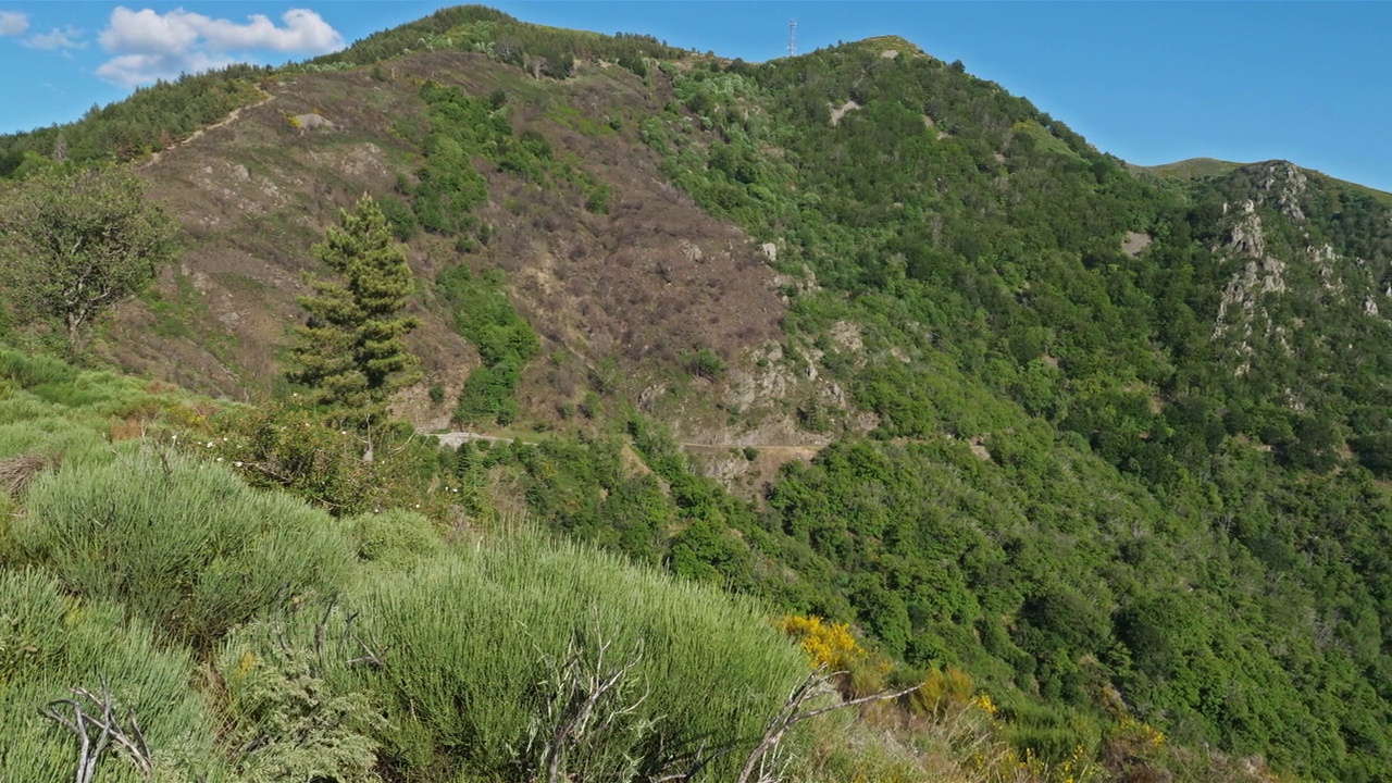 Col de l' asclier, Cevennes, Gard，法国视频素材