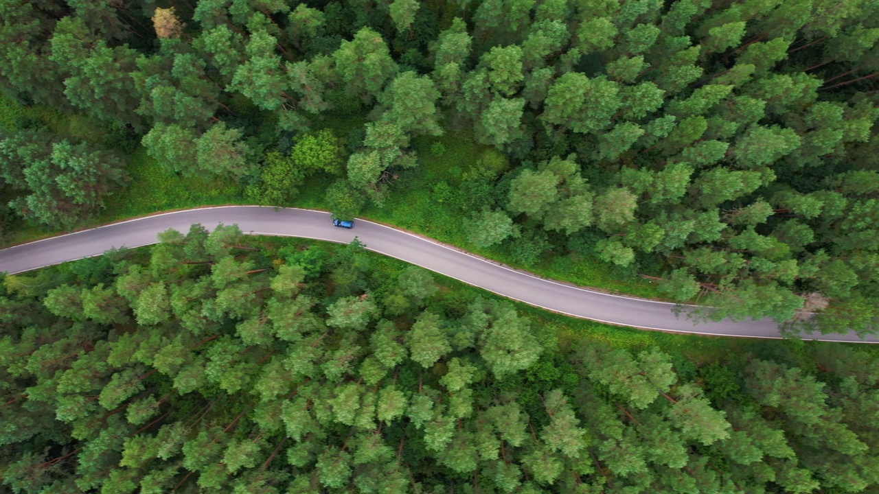 鸟瞰蓝色汽车行驶在柏油路穿越广阔的森林在夏日。航拍汽车行驶在松树林中的道路。森林自驾游。夏日风光。视频素材