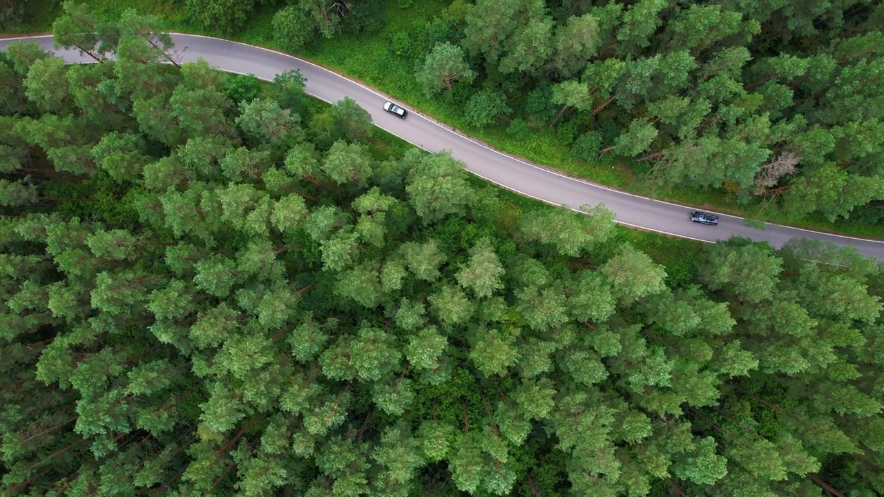 鸟瞰图黑色汽车行驶在柏油路穿越广阔的森林在夏日。航拍汽车行驶在松树林中的道路。森林自驾游。夏日风光。视频素材