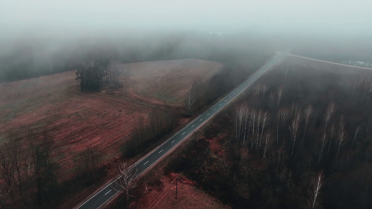 汽车行驶在高速公路穿过森林在神秘的雾。视频素材