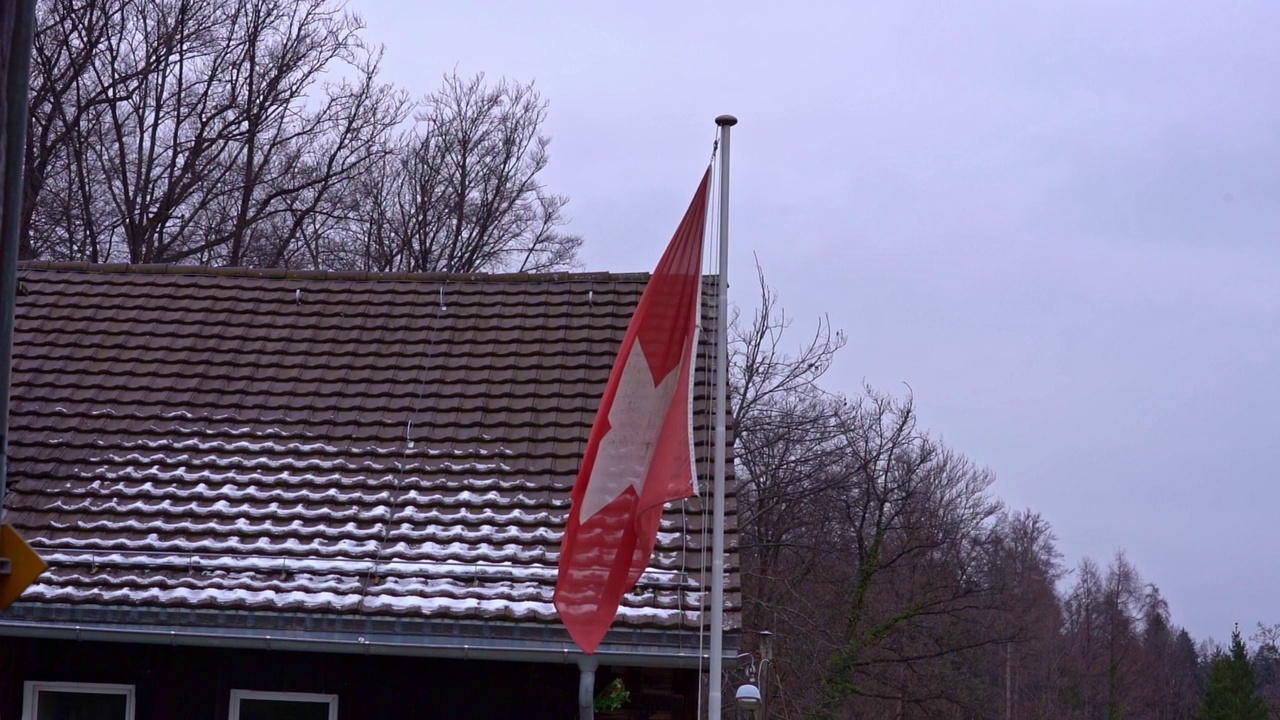 在Zürich市挥舞瑞士国旗，背景是森林，这是一个多云的灰色冬日。视频素材