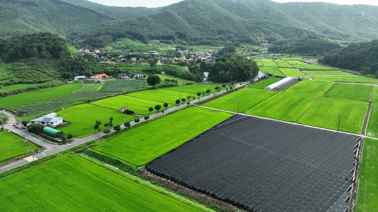 乡村和稻田风景/忠州市，忠北道，韩国视频素材