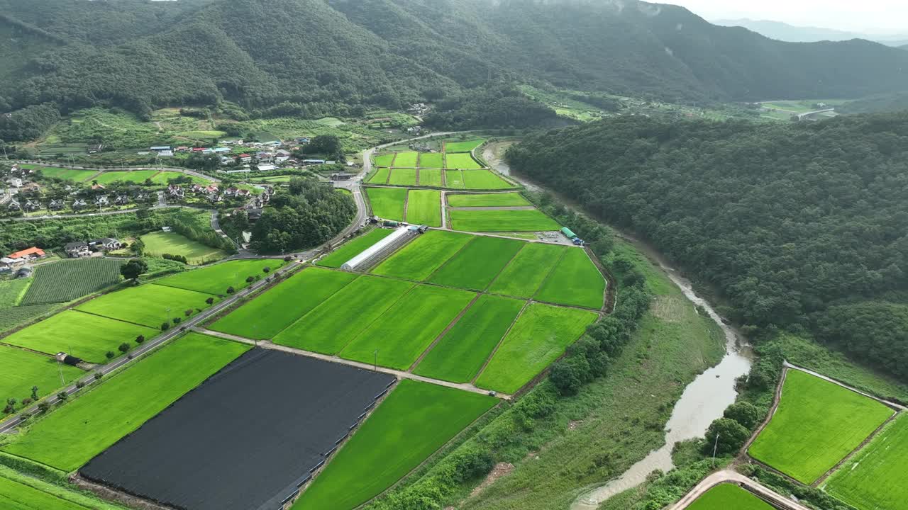 乡村和稻田风景/忠州市，忠北道，韩国视频素材