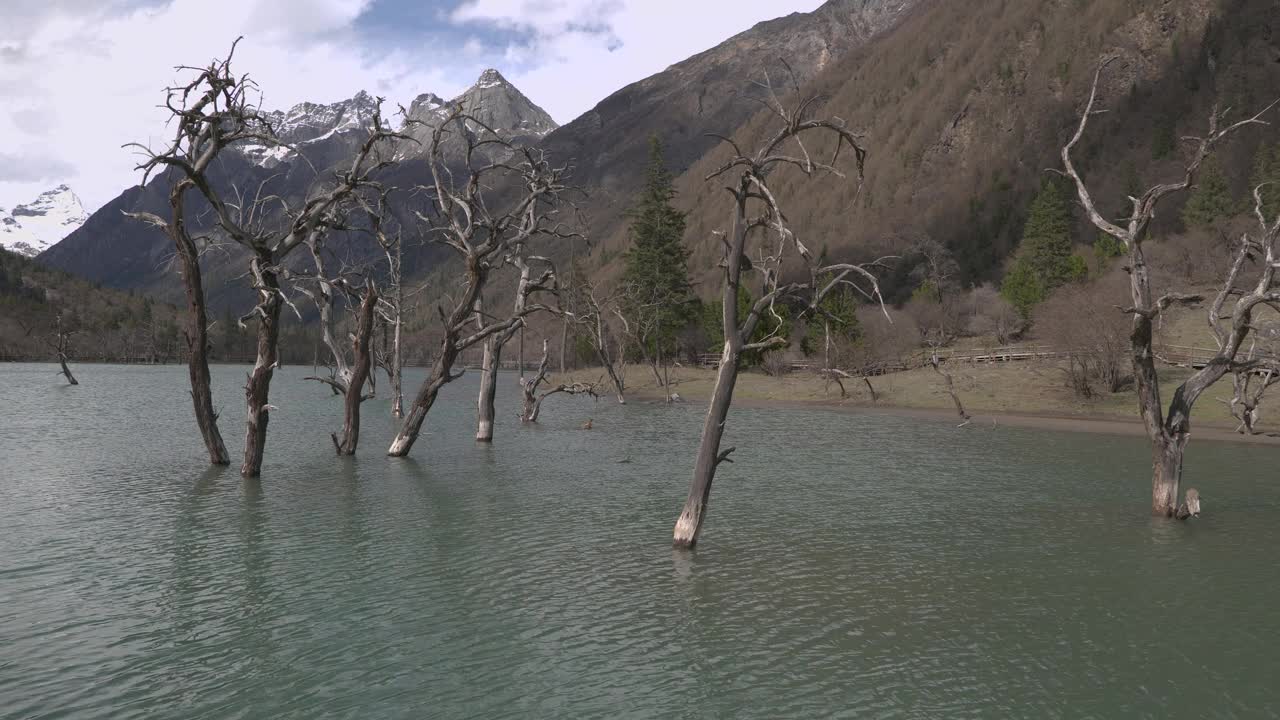 四川巴郎山景观视频素材