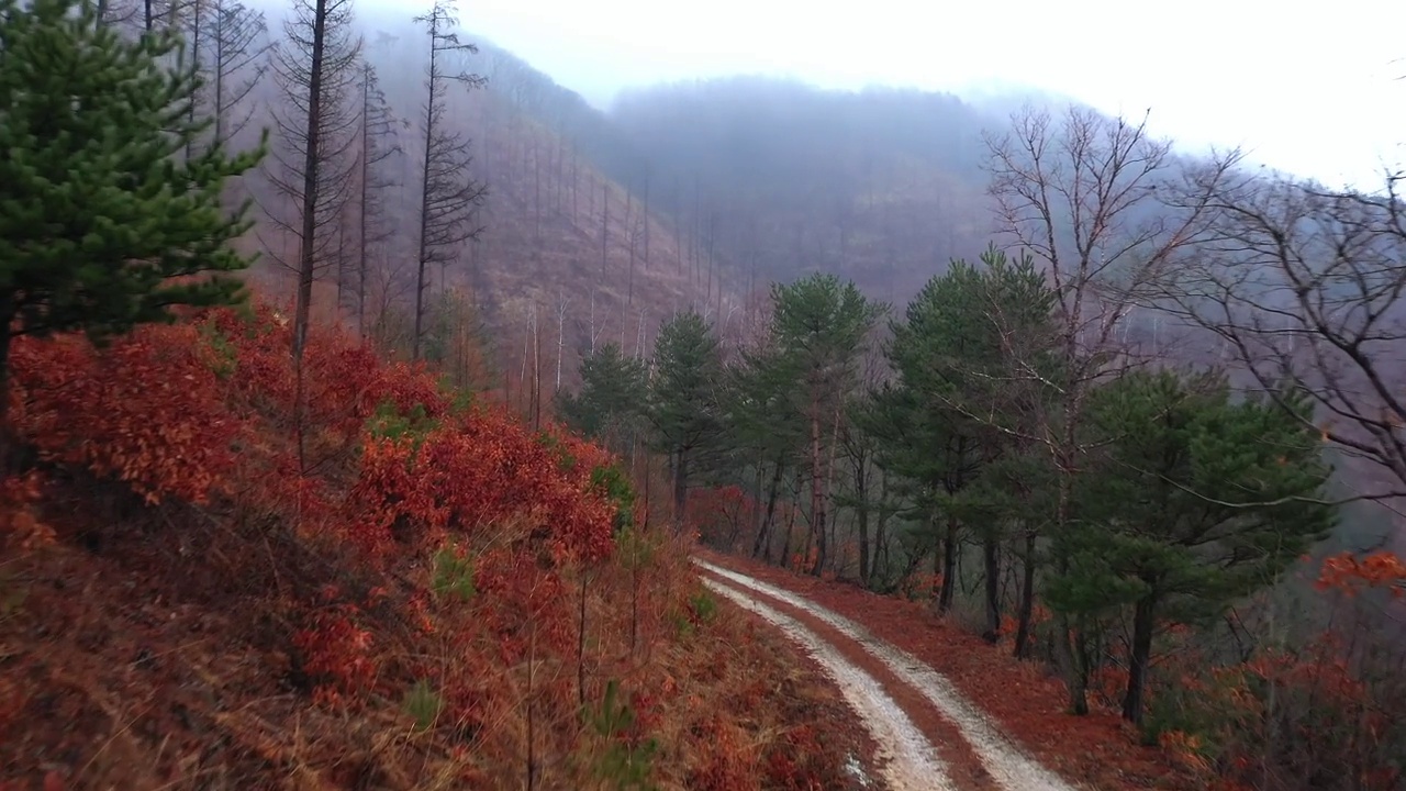 韩国江原道旌善郡明东山的风景视频素材