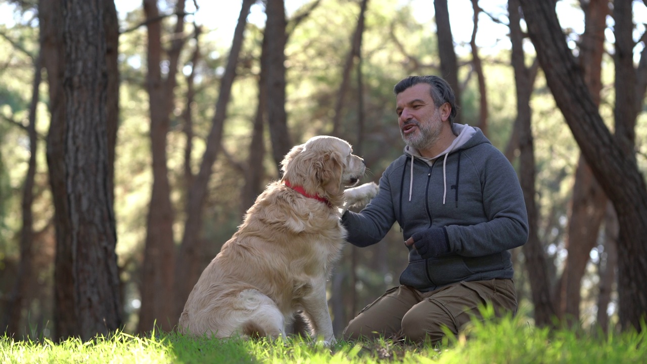 男子和金毛猎犬在森林里玩得很开心视频素材