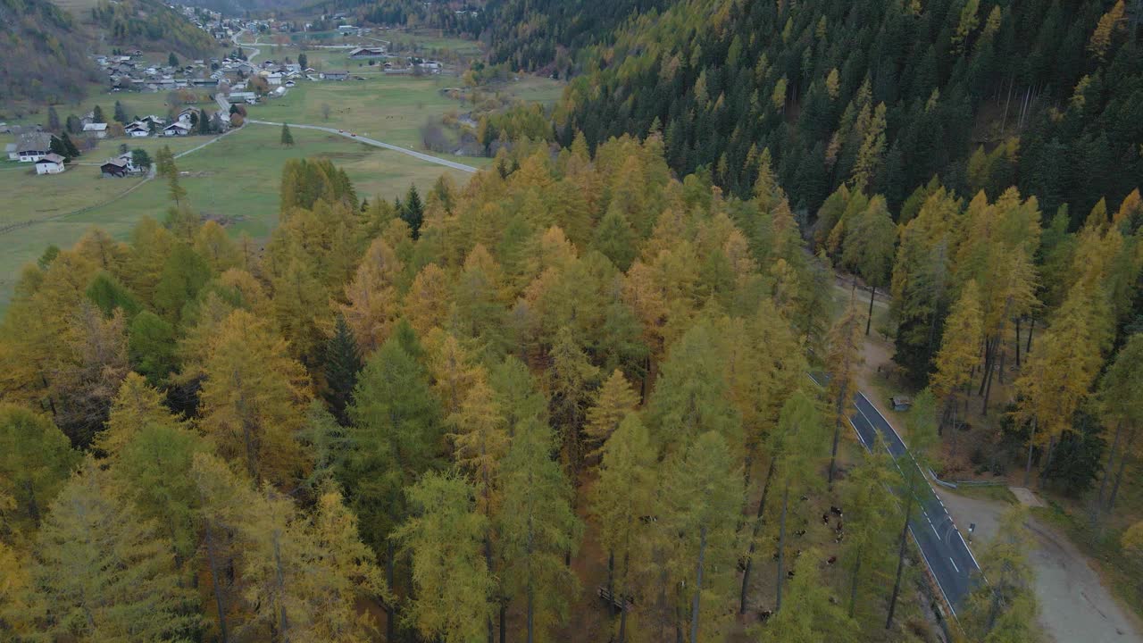 无人驾驶飞机拍摄到森林中通往村庄的山谷公路视频素材