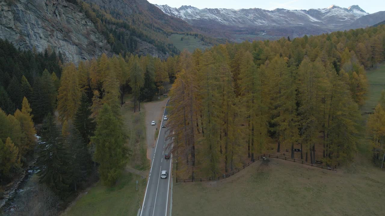 鸟瞰图上的汽车在山谷公路上的森林覆盖着秋天的颜色视频素材