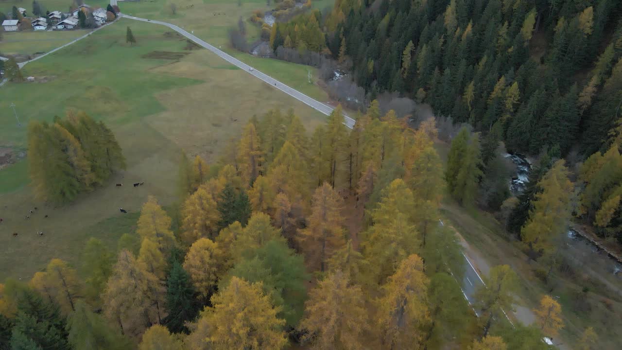 无人驾驶飞机拍摄到森林中通往村庄的山谷公路视频素材