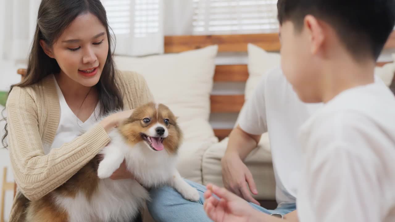 亚洲家庭坐在客厅地板上，在现代家庭与博美犬。母亲抱着狗，儿子给宠物喂食物。关系纽带概念。假期家庭活动视频素材