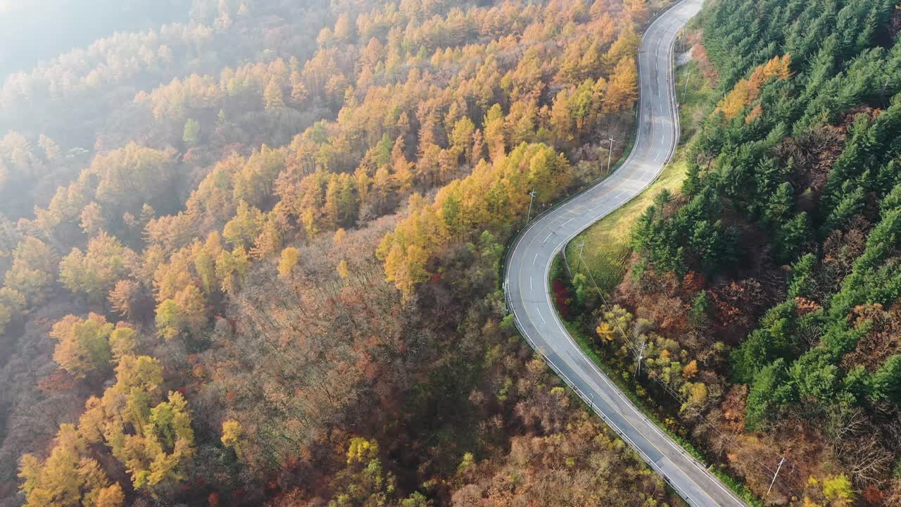 自然风光——秋天的山、树和道路/韩国江原道视频素材