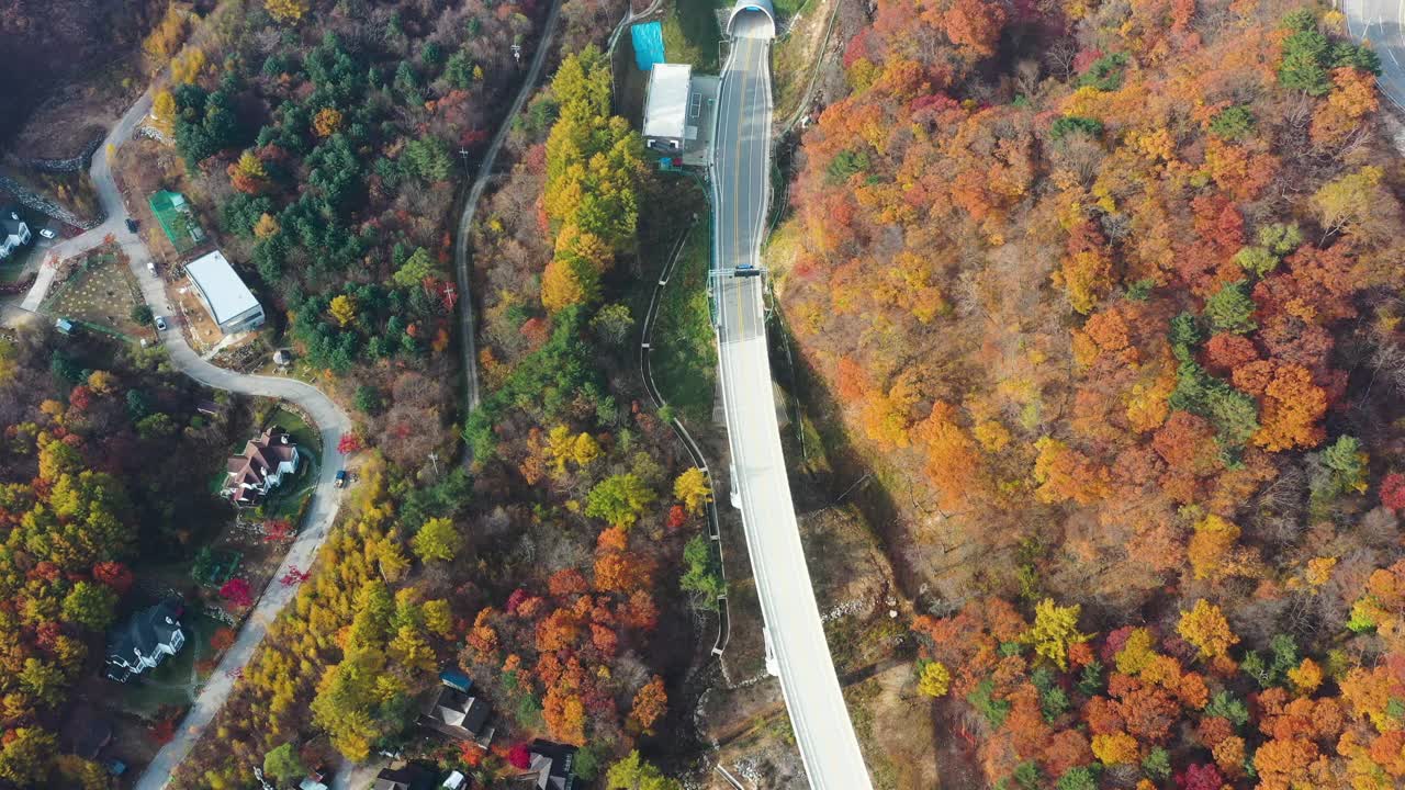 自然风光——秋天的山、树和道路/韩国江原道视频素材