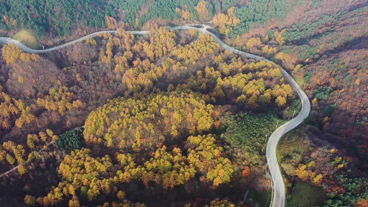 自然风光——秋天的山、树和道路/韩国江原道视频素材