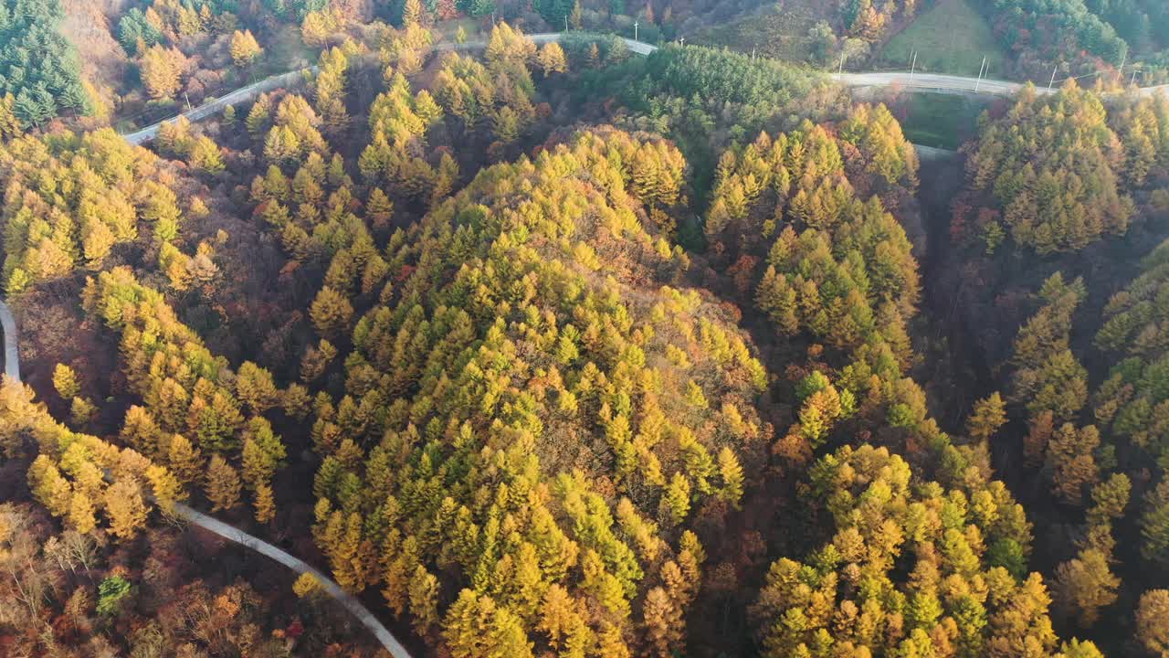 自然风光——秋天的山、树和道路/韩国江原道视频素材