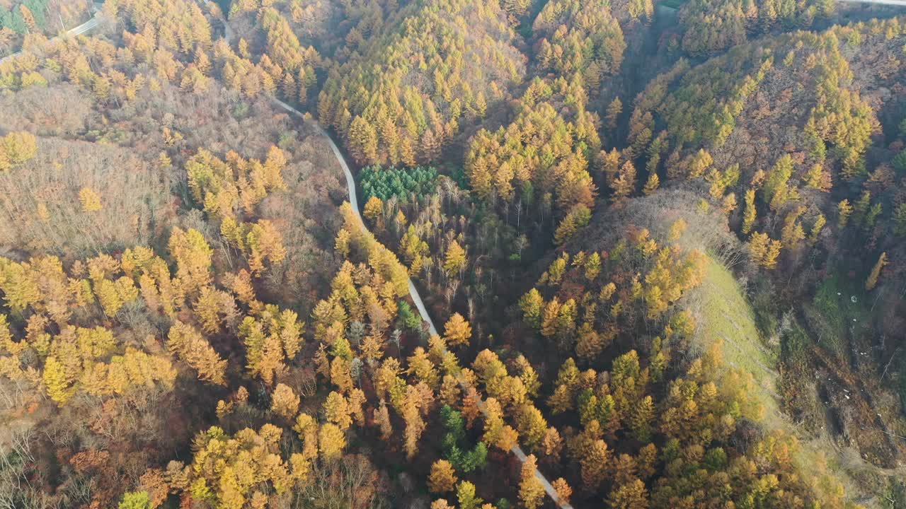 自然风光——秋天的山、树和道路/韩国江原道视频素材