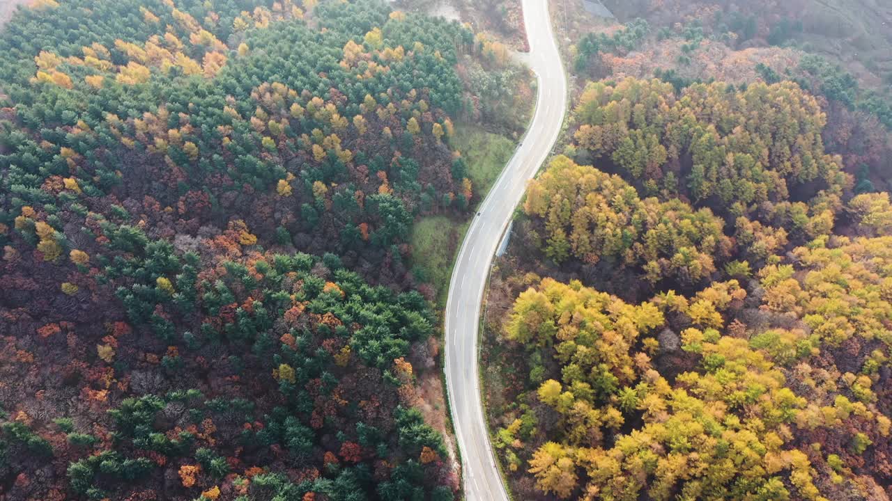 自然风光——秋天的山、树和道路/韩国江原道视频素材