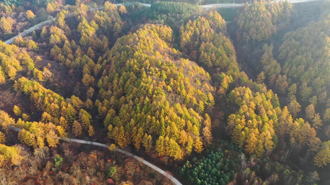 自然风光——秋天的山、树和道路/韩国江原道视频素材