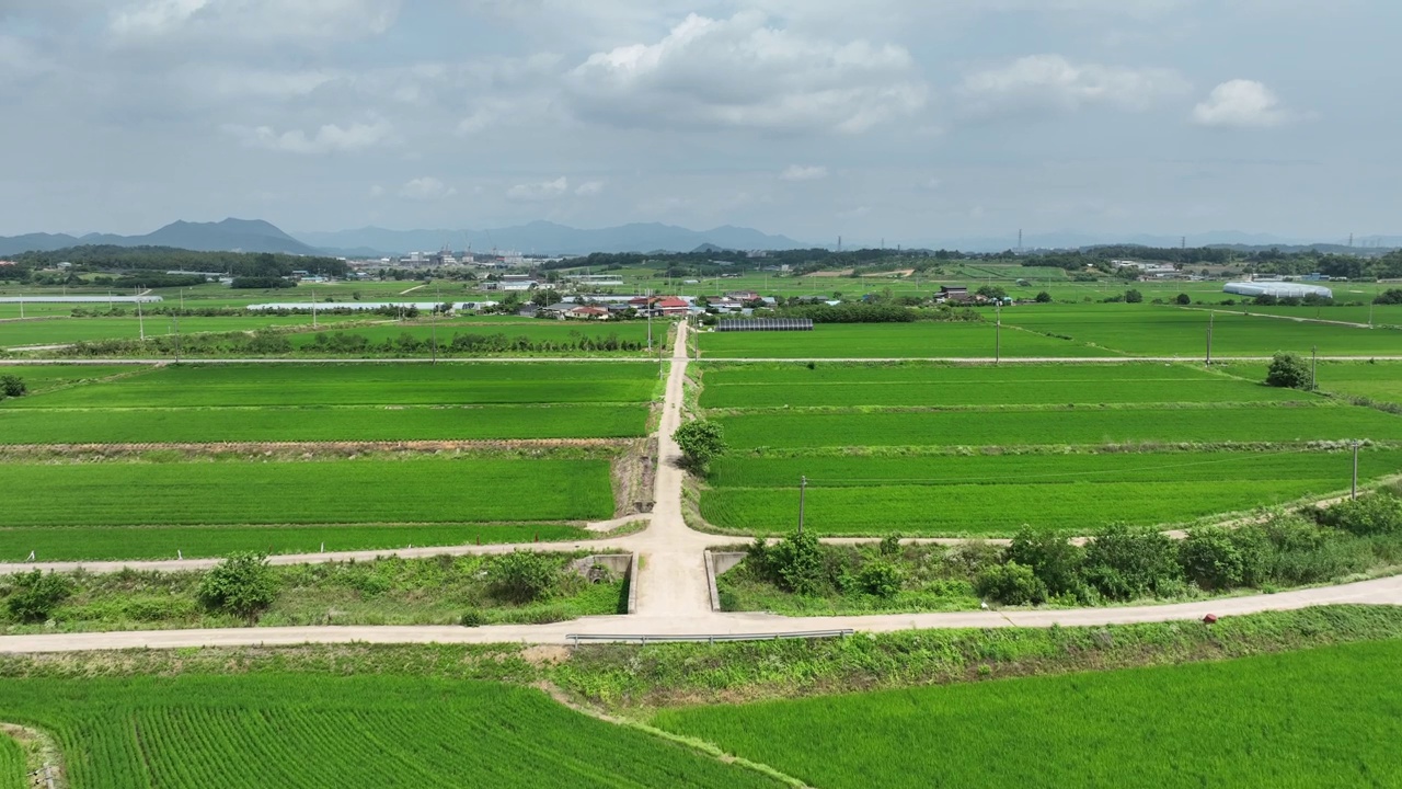 农村稻田风景/益山市，全北，韩国视频素材