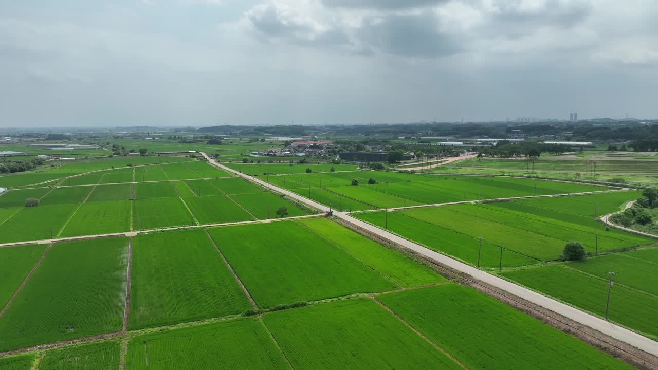 农村稻田风景/益山市，全北，韩国视频素材