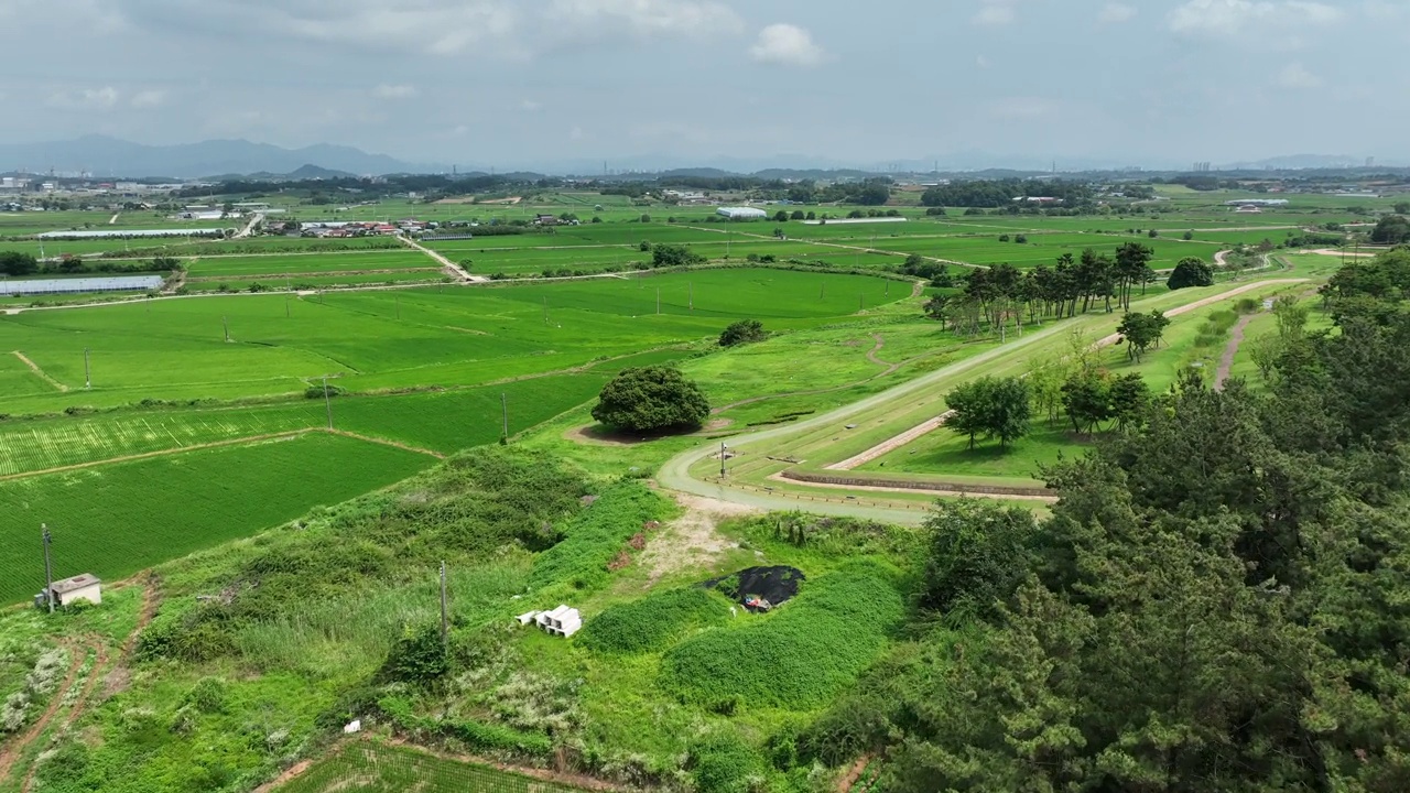 农村稻田风景/益山市，全北，韩国视频素材