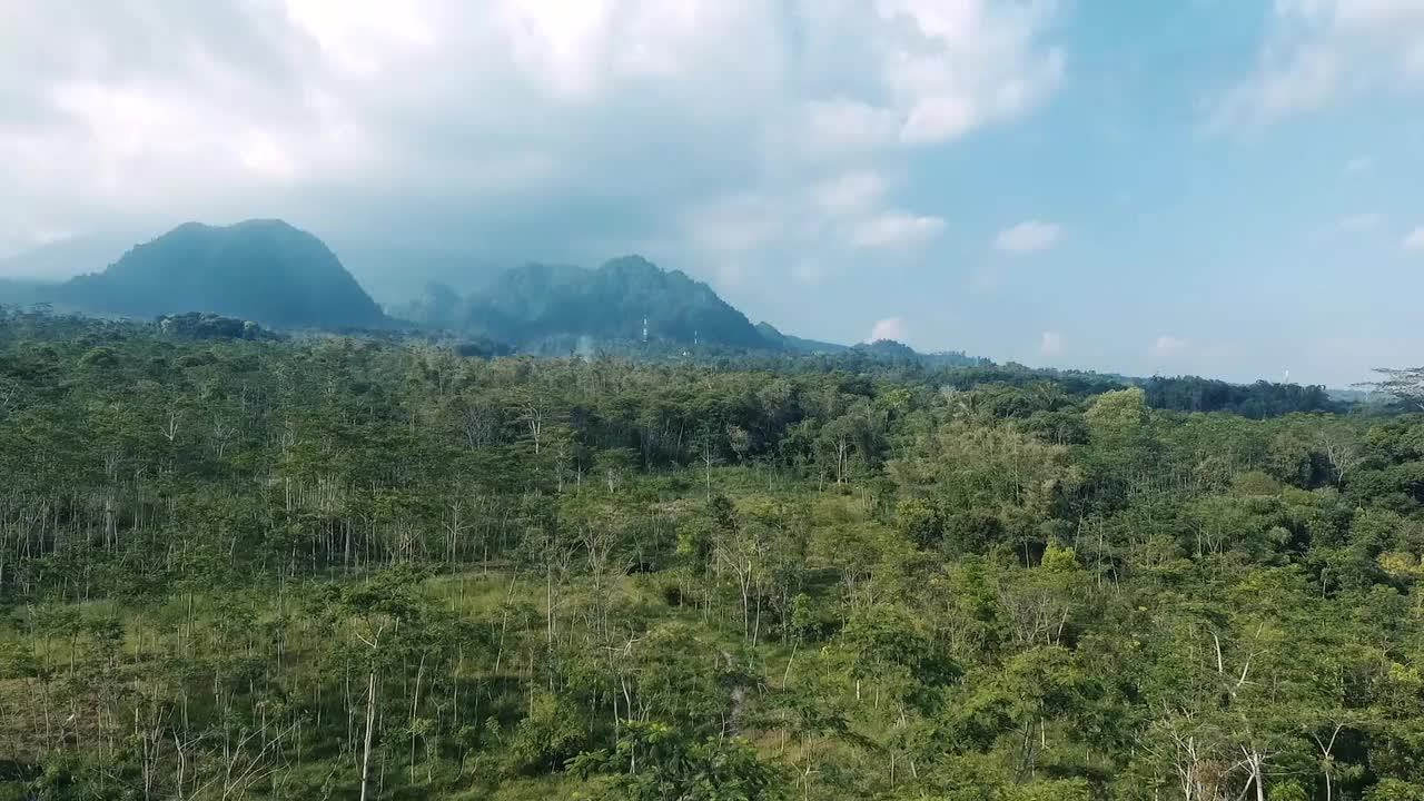 Merapi森林视频下载