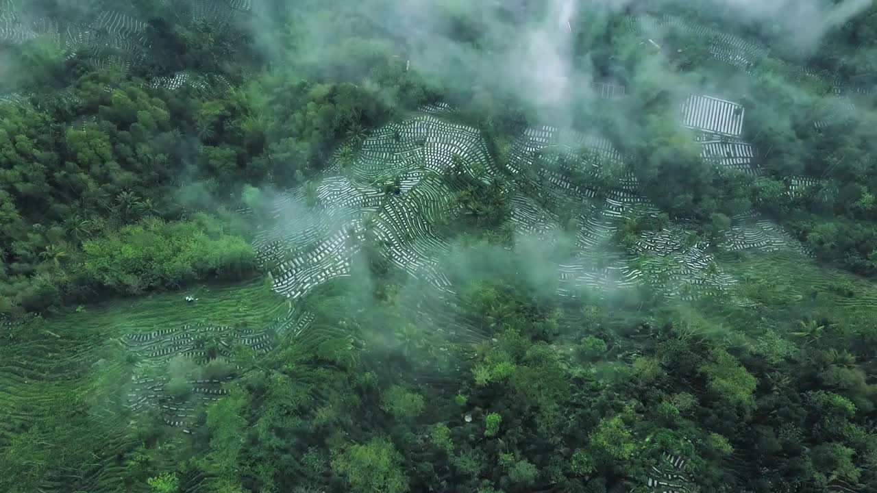 上与上视频下载