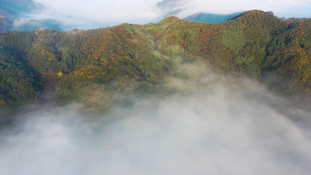 自然风景-云海/加平郡，京畿道，韩国视频素材