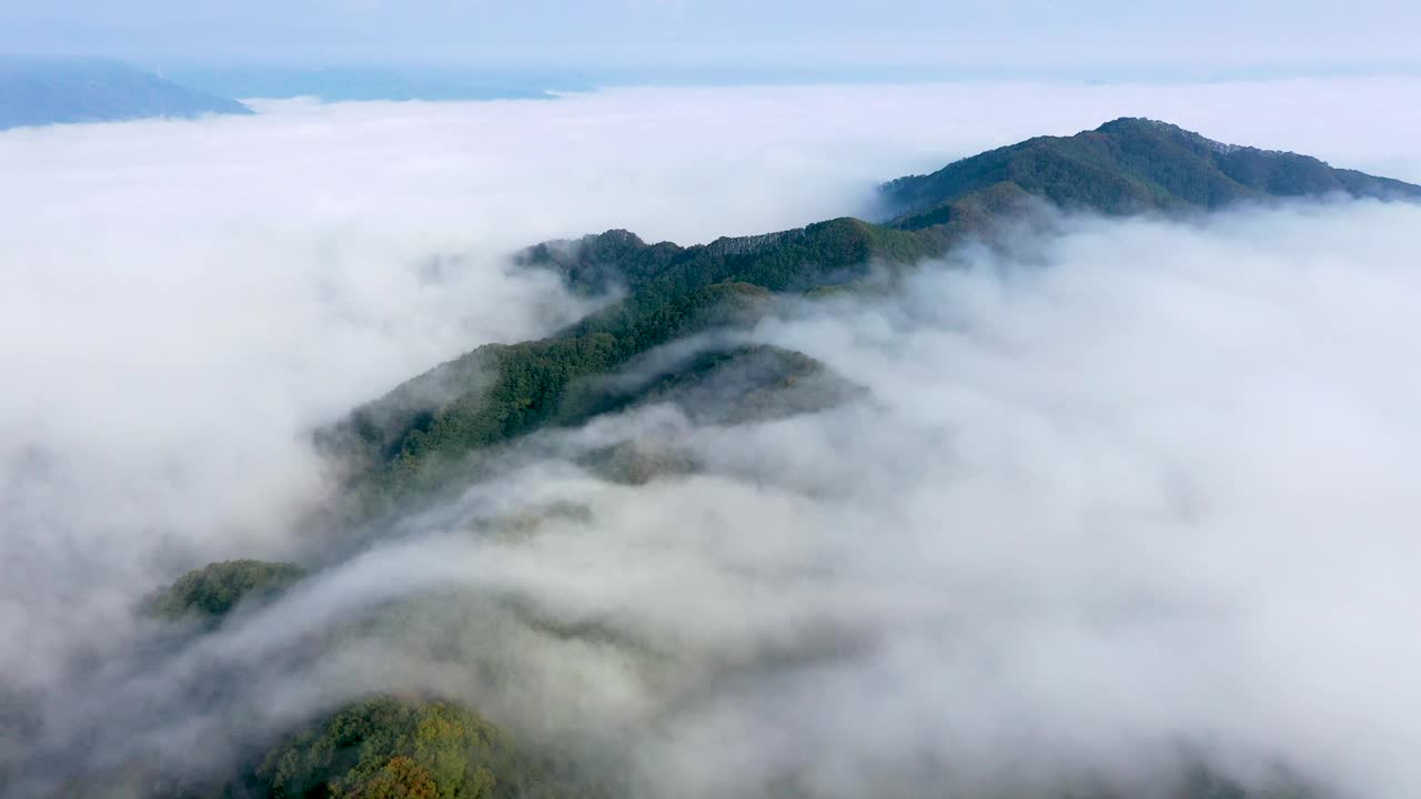 自然风景-云海/加平郡，京畿道，韩国视频素材