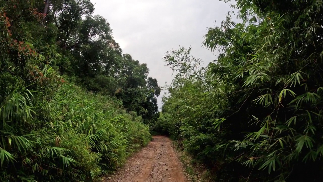 Pov汽车在越野路上行驶，声称是山顶视频素材