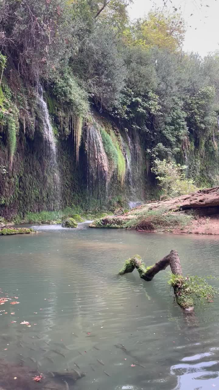 瀑布公园视频素材